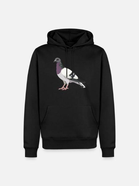 Pigeons Pigeon - Men’s Premium Organic Hoodie - black