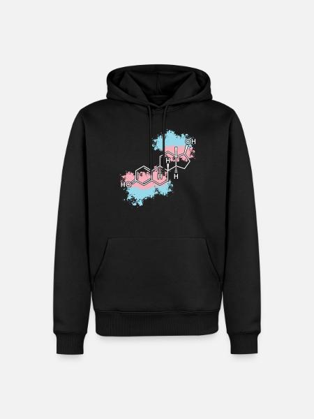 Transgender Trans LGBT Pride - Men’s Premium Organic Hoodie - black