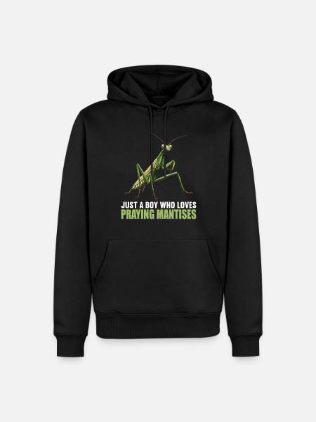 Praying mantises Praying mantis - Men’s Premium Organic Hoodie - black