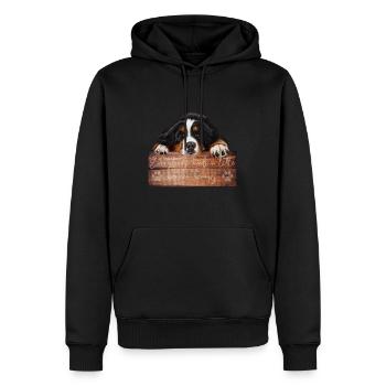 Berner Sennenhund - Männer Premium Bio Hoodie - Schwarz - Vorne - Nico (187cm)