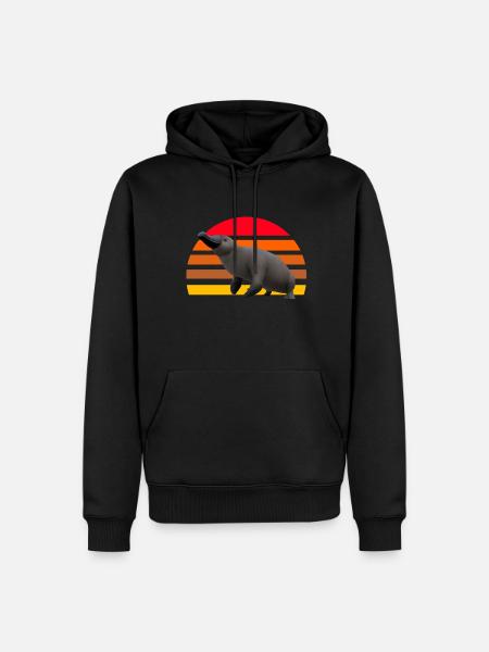 Cute Platypus Illustration - Men’s Premium Organic Hoodie - black