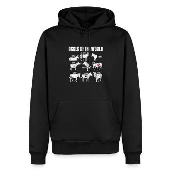 Âne - Sweat à capuche Premium bio Homme - noir - Devant - Nico (187cm)