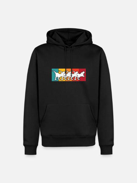 T-Rex Retro Dinos Kreidezeit Dinosaurier - Männer Premium Bio Hoodie - Schwarz