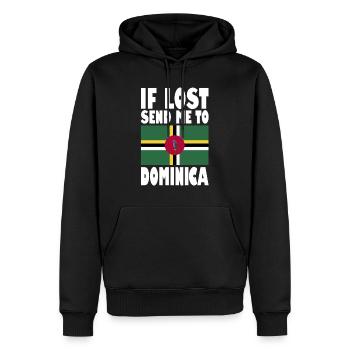 Dominica Flagge Spruch - Männer Premium Bio Hoodie - Schwarz - Vorne - Nico (187cm)