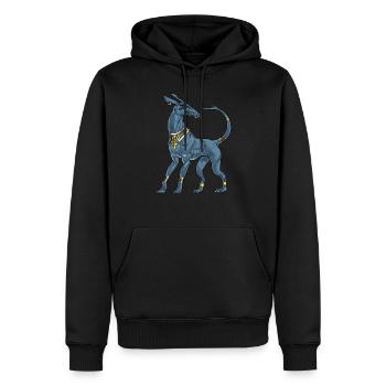 Ensemble de divinité de la mythologie égyptienne - Sweat à capuche Premium bio Homme - noir - Devant - Nico (187cm)
