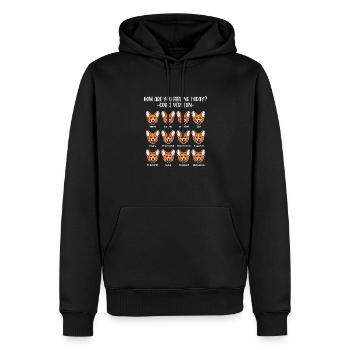 Corgi - Men’s Premium Organic Hoodie - black - Front - Nico (187cm)