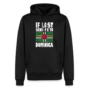 Dominica Flagge Spruch - Männer Premium Bio Hoodie - Schwarz - Vorne - Nico (187cm)