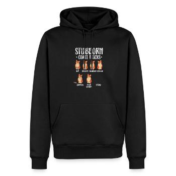 Welsh Corgi Dog Dog Dog Race Cadeau - Sweat à capuche Premium bio Homme - noir - Devant - Nico (187cm)
