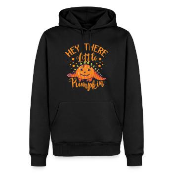 Citrouille de dinosaure Joyeux costume d’horreur d’Halloween D - Sweat à capuche Premium bio Homme - noir - Devant - Nico (187cm)