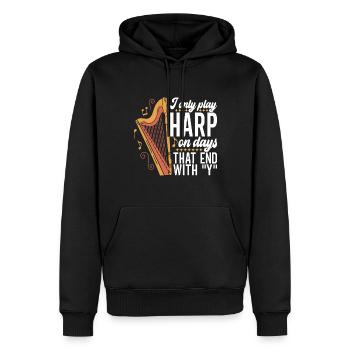 Harfe Harfenspieler - Männer Premium Bio Hoodie - Schwarz - Vorne - Nico (187cm)