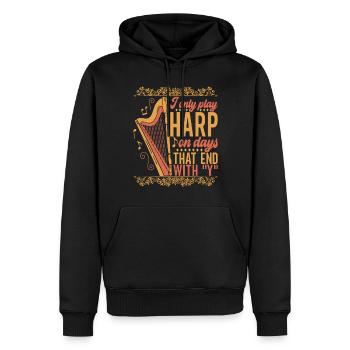 Harfe Harfenspieler - Männer Premium Bio Hoodie - Schwarz - Vorne - Nico (187cm)