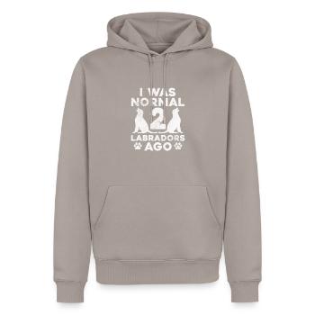 Labrador - Männer Premium Bio Hoodie - Taupe - Vorne - Nico (187cm)