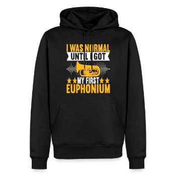 Euphonium Euphoniumspieler - Männer Premium Bio Hoodie - Schwarz - Vorne - Nico (187cm)