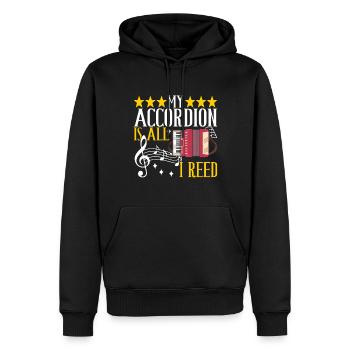 Akkordeon Instrument Akkordeonspieler - Männer Premium Bio Hoodie - Schwarz - Vorne - Nico (187cm)