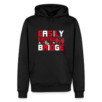 Leicht aufgeregt durch Bridge - Männer Premium Bio Hoodie - Schwarz - Vorne - Nico (187cm)