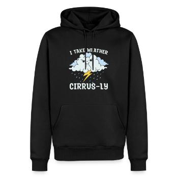 Météorologie I Prendre Météorologue Prévisions Météo - Sweat à capuche Premium bio Homme - noir - Devant - Nico (187cm)
