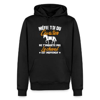 Drôle Cadeau Pour Un Cheval Et Un Cavalier - Sweat à capuche Premium bio Homme - noir - Devant - Nico (187cm)