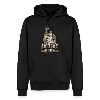 Mythologie grecque Mythe des dieux antiques Grèce Histoire - Sweat à capuche Premium bio Homme - noir - Devant - Nico (187cm)