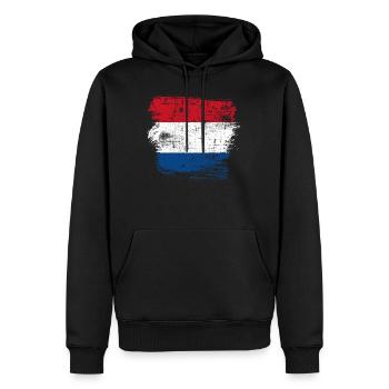 Pays-Bas Pays pavillon - Sweat à capuche Premium bio Homme - noir - Devant - Nico (187cm)