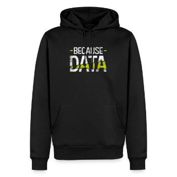 Données informatiques - Sweat à capuche Premium bio Homme - noir - Devant - Nico (187cm)