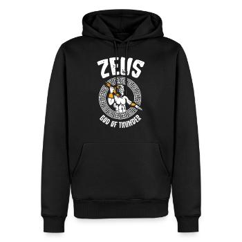 Zeus Gott of Thunder, Griechische Mythologie - Männer Premium Bio Hoodie - Schwarz - Vorne - Nico (187cm)