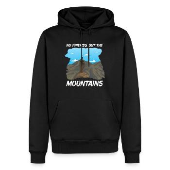 Kurdistan T-Shirt Mountains Kurd Kurdish Rojava - Men’s Premium Organic Hoodie - black - Front - Nico (187cm)