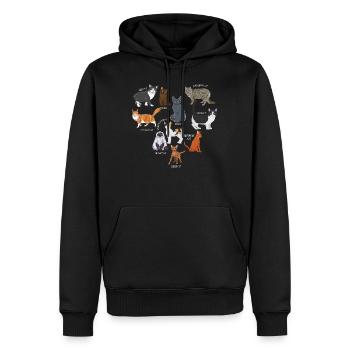Espèces de chats, chats, chatons - Sweat à capuche Premium bio Homme - noir - Devant - Nico (187cm)