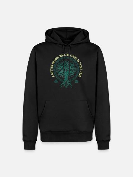 Vikings, vieilles citations, Vikings - Sweat à capuche Premium bio Homme - noir