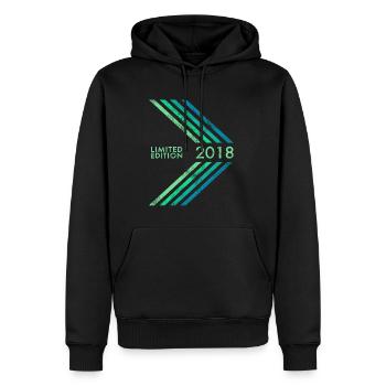 2018 Limited Edition Birthday Boys and Girls - Men’s Premium Organic Hoodie - black - Front - Nico (187cm)