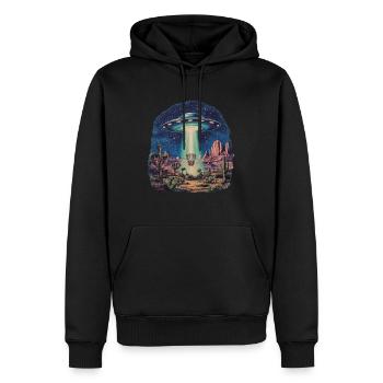 Disc Golf Korb UFO Wüste Retro Vintage Sci-Fi Moti - Männer Premium Bio Hoodie - Schwarz - Vorne - Nico (187cm)