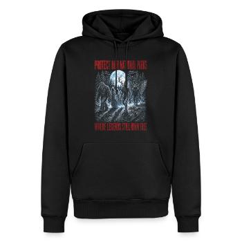 Kryptiden schützen unsere Nationalpark-Mottenmänner - Männer Premium Bio Hoodie - Schwarz - Vorne - Nico (187cm)