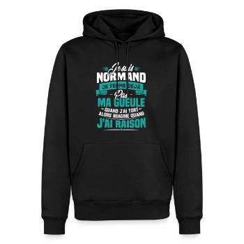 Humour cadeau Je suis Normand - Sweat à capuche Premium bio Homme - noir - Devant - Nico (187cm)