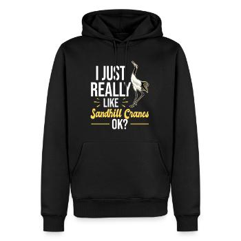 Kanadakranich | Kanadischer Kranich Vogel Geschenk - Männer Premium Bio Hoodie - Schwarz - Vorne - Nico (187cm)