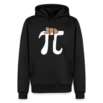 Math Sloth Pi - Men’s Premium Organic Hoodie - black - Front - Nico (187cm)