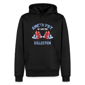 Collectionneurs de pierres précieuses et recherche sur les pierres précieuses - Sweat à capuche Premium bio Homme - noir - Devant - Nico (187cm)