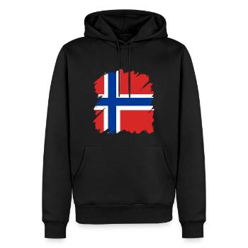 Drapeau de la Norvège Scandinavie Drapeau norvégien - Sweat à capuche Premium bio Homme - noir - Devant - Nico (187cm)