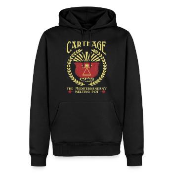 Karthago, der Schmelztiegel des Mittelmeers - Männer Premium Bio Hoodie - Schwarz - Vorne - Nico (187cm)