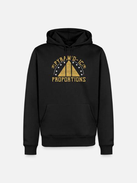 Pyramidenförmige Proportionen - Männer Premium Bio Hoodie - Schwarz