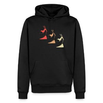 Colorful Masters of the Skies - Ski Freestyle Extravaganza - Men’s Premium Organic Hoodie - black - Front - Nico (187cm)