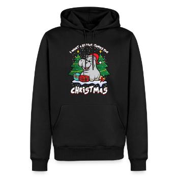 Je souhaite un hippopotame pour Noël - Sweat à capuche Premium bio Homme - noir - Devant - Nico (187cm)