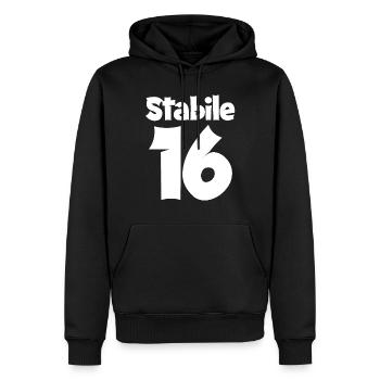 16 Geburtstag Junge Geschenk lustig 16. Ehrentag - Männer Premium Bio Hoodie - Schwarz - Vorne - Nico (187cm)