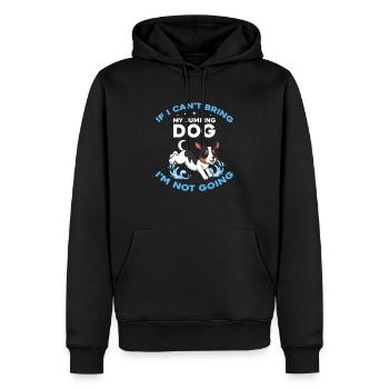 Sports nautiques pour chiens et sports nautiques pour chiens - Sweat à capuche Premium bio Homme - noir - Devant - Nico (187cm)