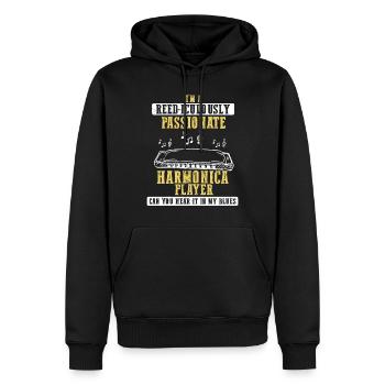 Mundharmonika Instrument und Mundharmonika - Männer Premium Bio Hoodie - Schwarz - Vorne - Nico (187cm)