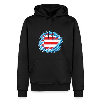 Bremen Flagge Bremer Fahne - Männer Premium Bio Hoodie - Schwarz - Vorne - Nico (187cm)