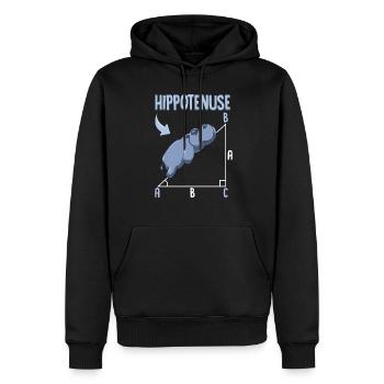 Hippotenuse - Men’s Premium Organic Hoodie - black - Front - Nico (187cm)