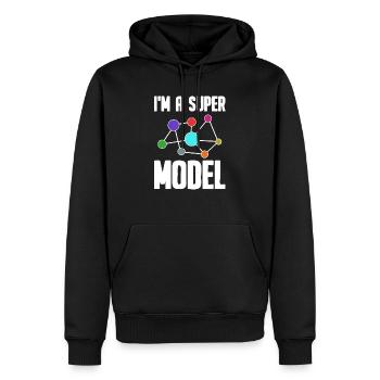 Data Science Analyst Data Scientist - Sweat à capuche Premium bio Homme - noir - Devant - Nico (187cm)