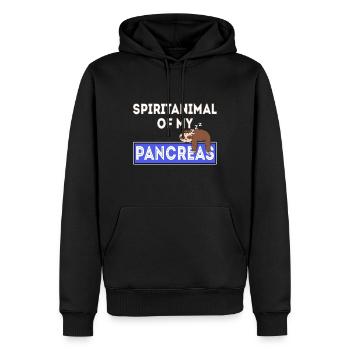 Diabétique sort rigolo paresseux - Sweat à capuche Premium bio Homme - noir - Devant - Nico (187cm)