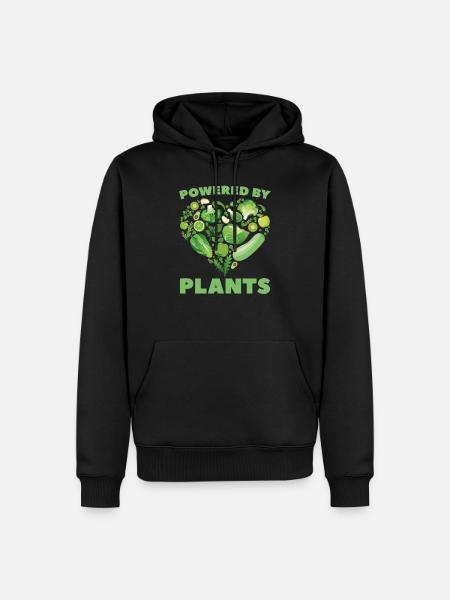 Veggie Vegetables Vegetarian Vegetarian - Men’s Premium Organic Hoodie - black