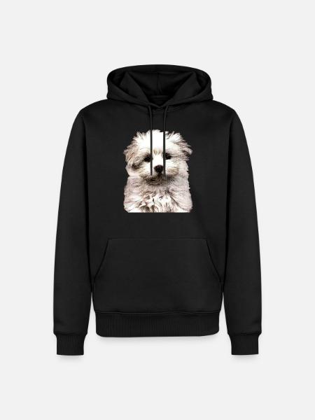 Bichon Maltais - Sweat à capuche Premium bio Homme - noir
