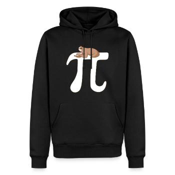 Math Sloth Pi - Men’s Premium Organic Hoodie - black - Front - Nico (187cm)